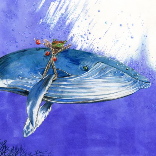 sabine hautefeuille-illustrateur jeunesse