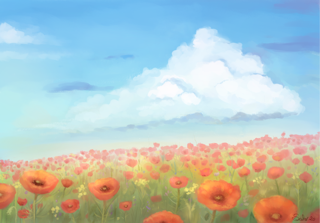 Coquelicots Painting