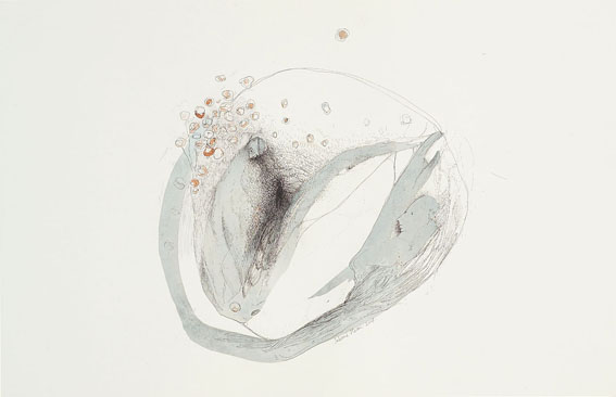 Bulle vallée 2008