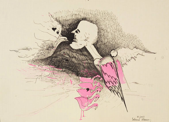 Ornithoptère et congénères 2011