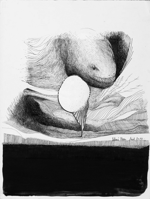 Oeuf à l'avenir incertain 2010
