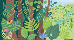 illustration01_ForetAmazonniene.jpg - Sandrine Monnier-illustrateur jeunesse