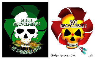 recyclable.jpg