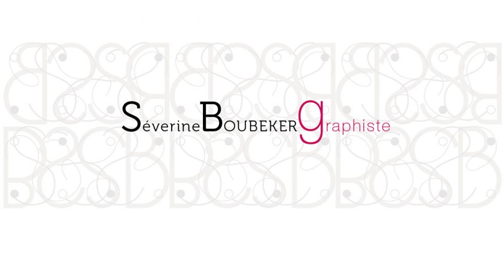 Séverine Boubeker : Ultra-book