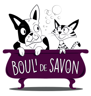 Logo Boul'de Savon SA