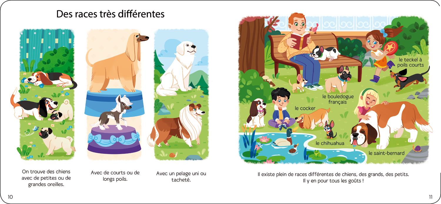 Shiilia's book Portfolio :Jeunesse
