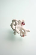 Corail blanc#2