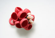 Corail rouge#2