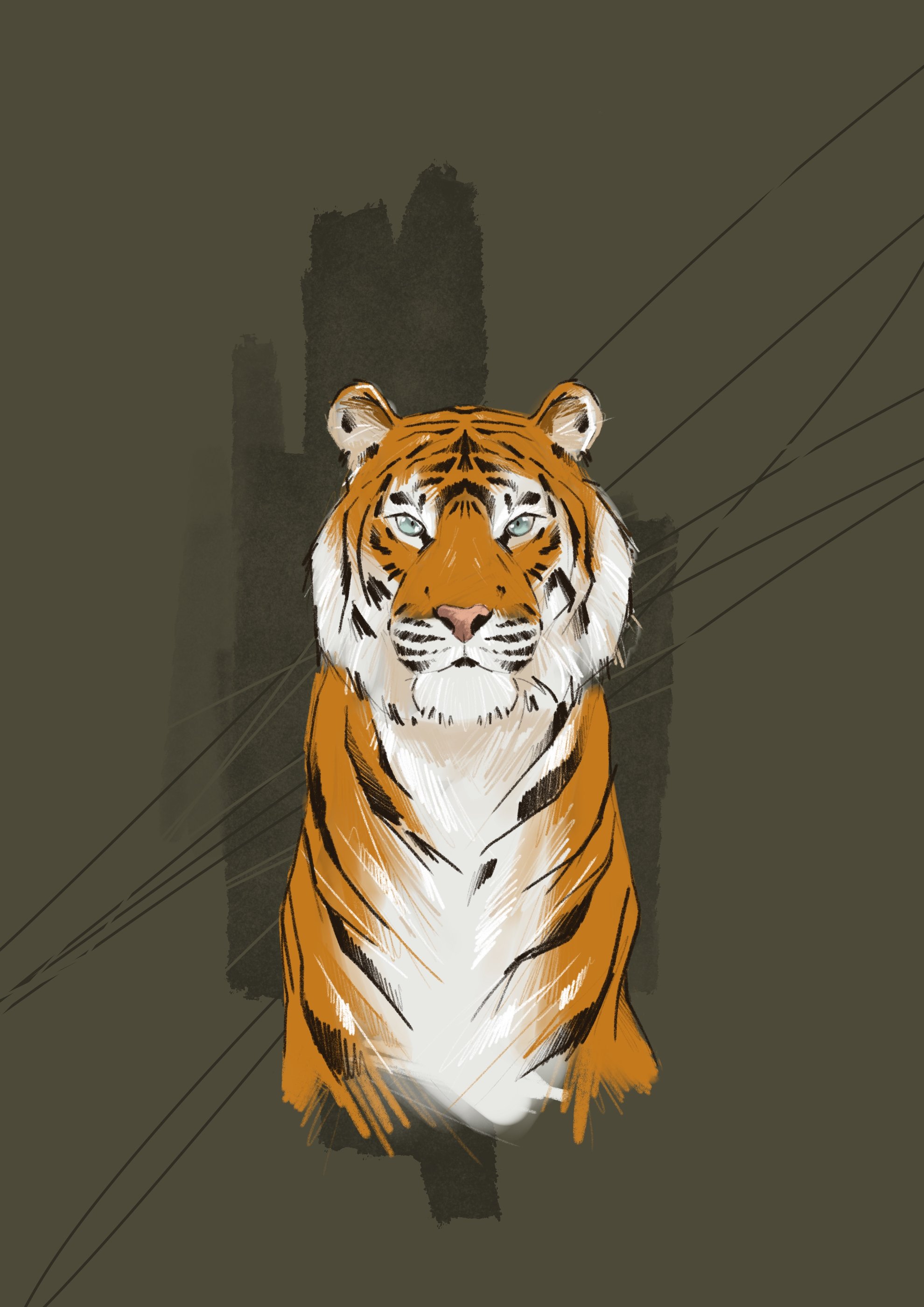 tigre.jpg