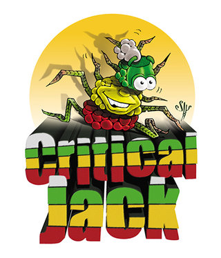 Logo de la saveur "Critical Jack" pour le foodtruck "le K'mion Rouge"