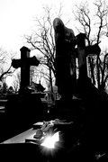| © 2008 - Stéphane ALLAMAN |
