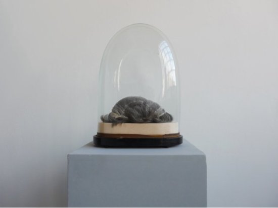 Sans titre sous globe - 2019