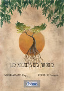 examen 2ème illustration