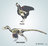 Anatomie comparée du Poulet et du Vélociraptor
