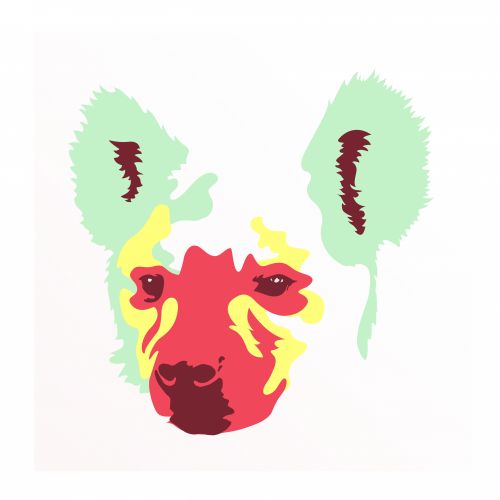 Thomas Soffray-graphiste