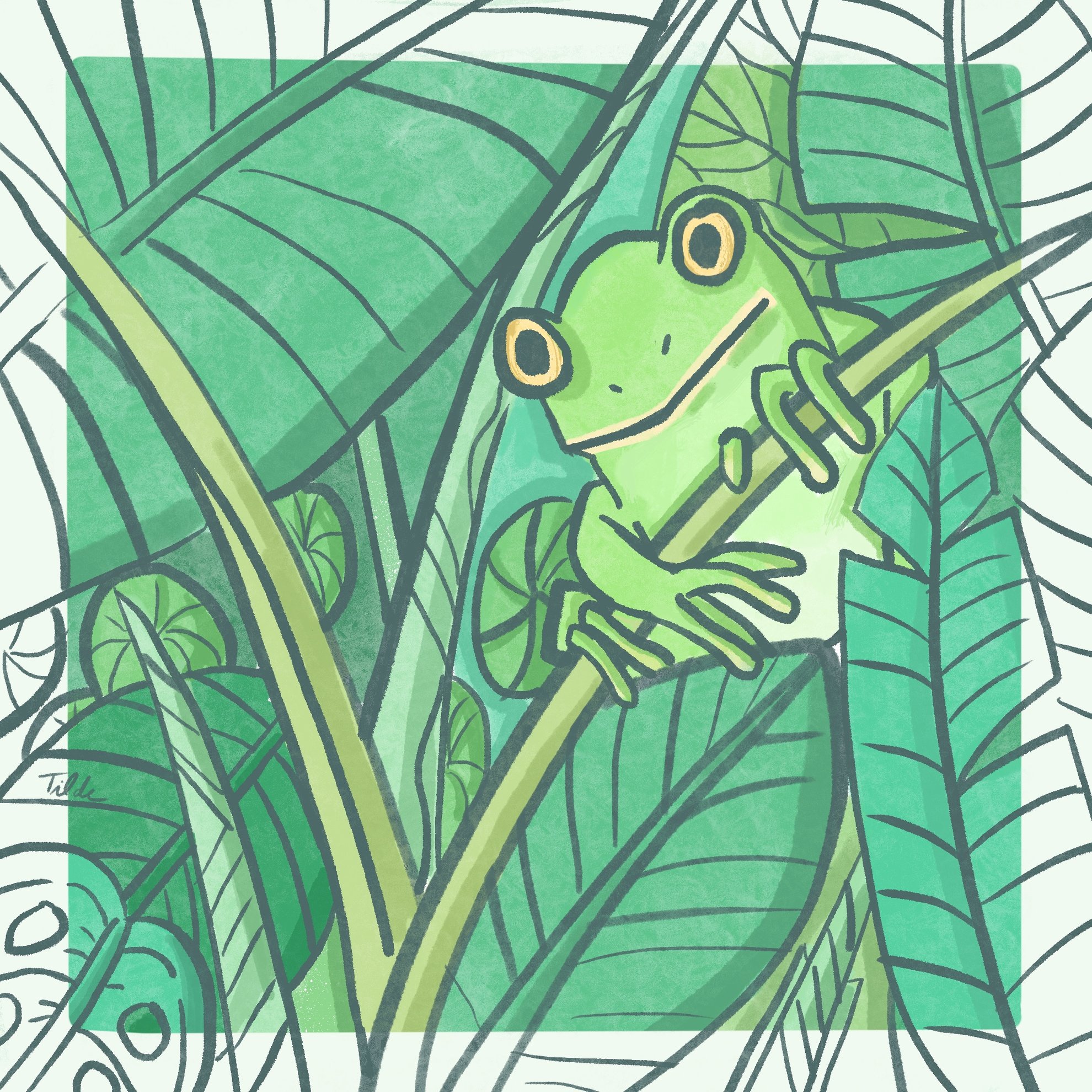 Frog Tilde Illustration .jpg