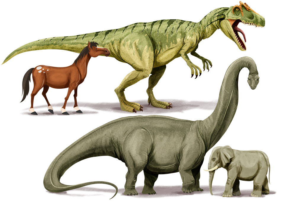 dinos_comparaison