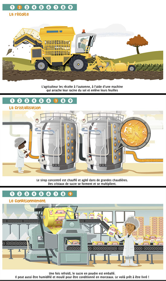 ANIM_SUCRE.jpg