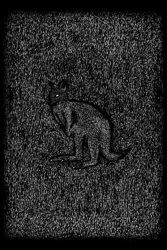 Wallaby