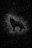 Loup