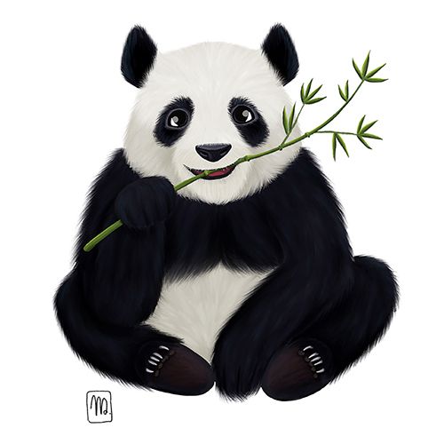 valérie deneufchâtel - illustrateurs-jeunesse