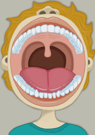 La dentition