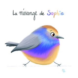 mésange de sophie.jpg