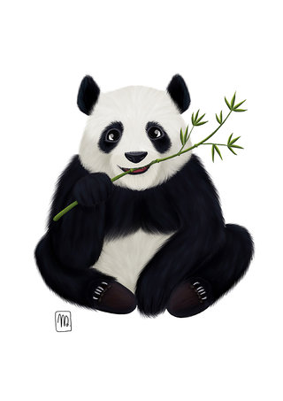 panda .jpg