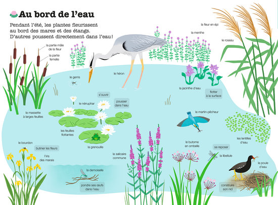 Les fleurs - Mes années pourquoi