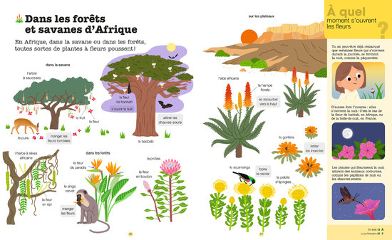 Les fleurs - Mes années pourquoi