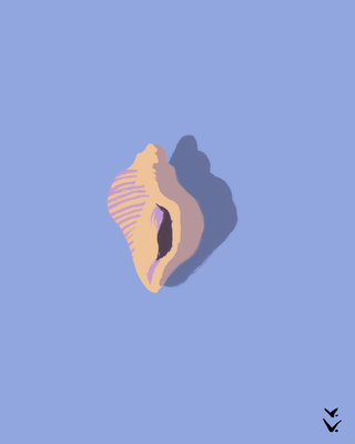 COQUILLAGE