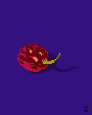 PIMENT
