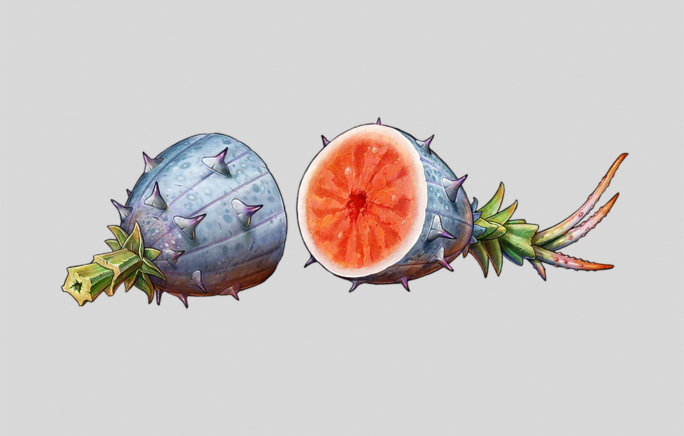 Fruit - Malhya : Lands of Legends