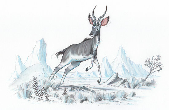 Antilope 4