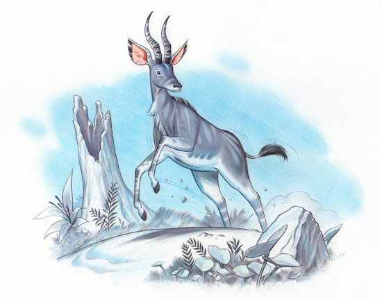 Antilope 7