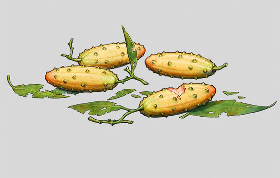 Fruits - Malhya : Lands of Legends