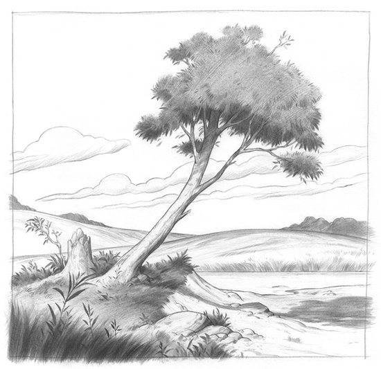 Tree sketch