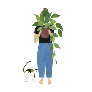 Cat and plant