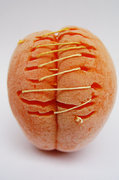 This is just an apricot - CODA