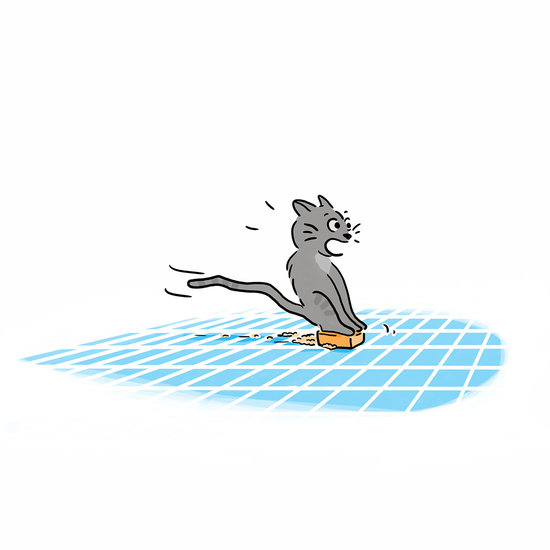 Illustration Chapitre