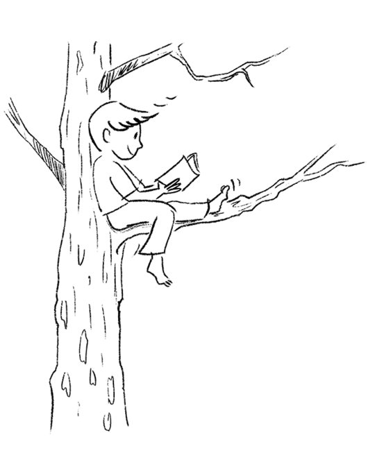 Mes habitudes de lecture - Le perché