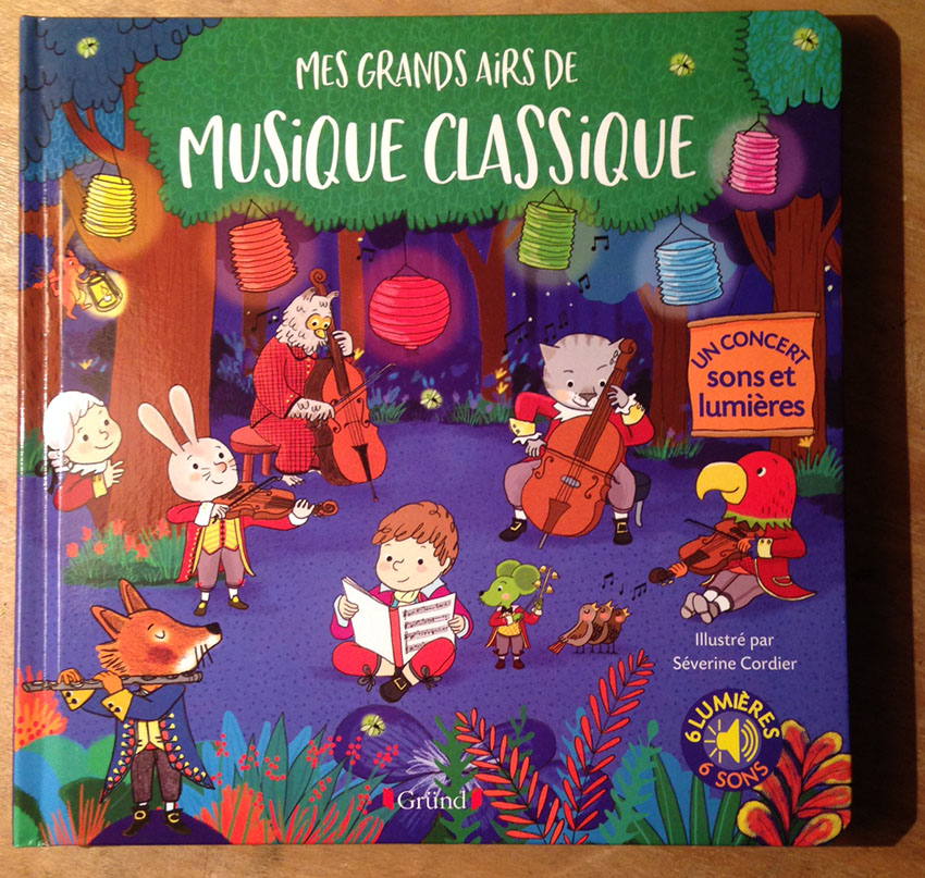 livre SON ET LUMIERES !