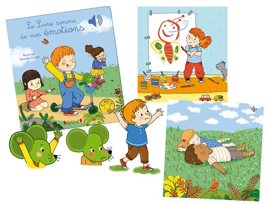 LIVRE DES EMOTIONS